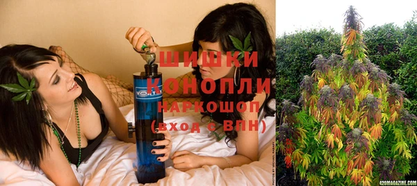стаф Зерноград