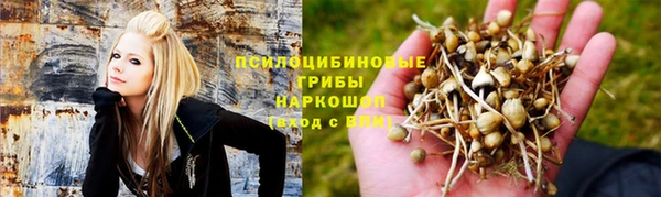 ешки Заволжье