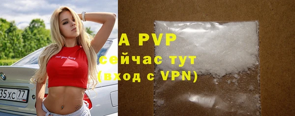 стаф Зерноград