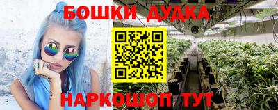 прущие крисы Гуково
