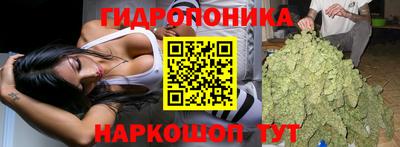 бошки Кохма