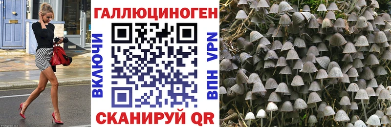 купить  цена  Ижевск  Псилоцибиновые грибы прущие грибы 