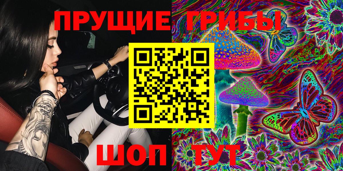 Псилоцибиновые грибы Psilocybe Россия