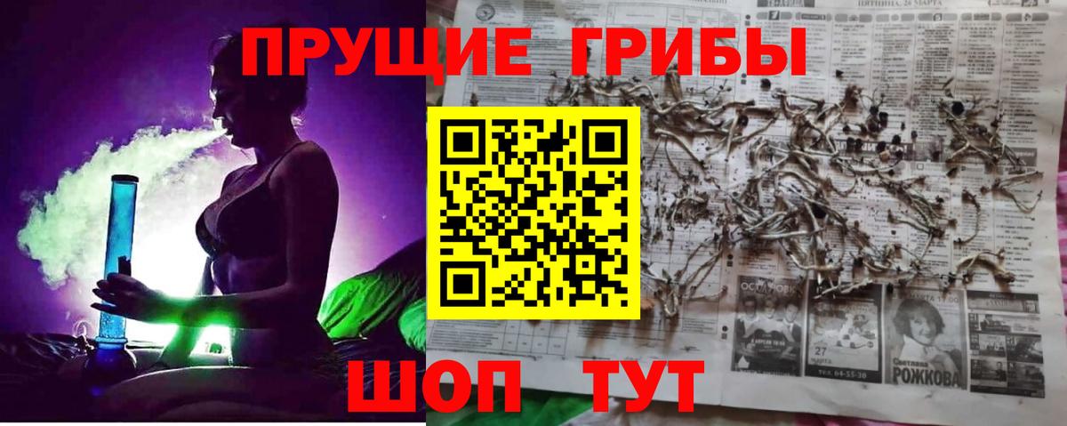 Псилоцибиновые грибы мицелий  дарнет шоп  Россия  Вход с VPN 